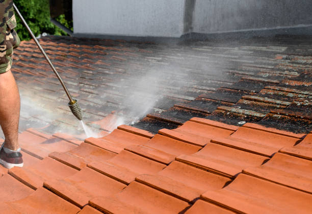Best Pressure Washing Near Me  in Gurdon, AR
