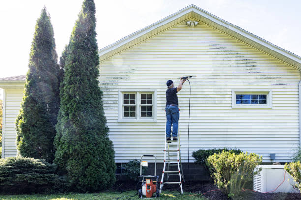Professional Pressure Washing in Gurdon, AR
